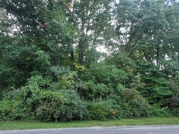 0 Hickory Rim Dr, Ortonville, MI 48462