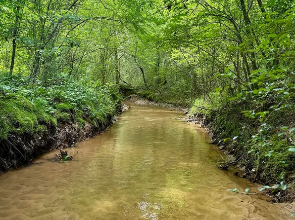 625 Bateman Rd, Louisville, MS 39339