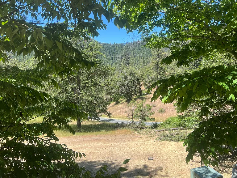 10625 Upper Applegate Rd — Photo 8