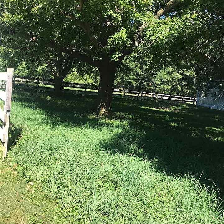 2nd image of 5495 Hogan Rd