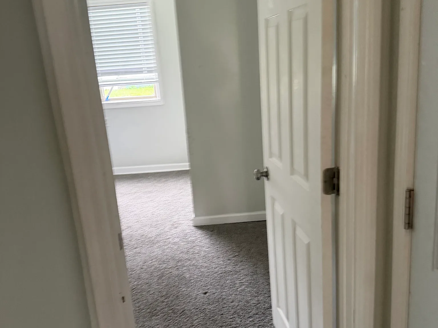 2 bed, 800 sqft, $1,200 — Photo 4