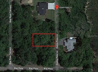 1484928 Guava Pass Ln #8, Ocklawaha, FL 32179