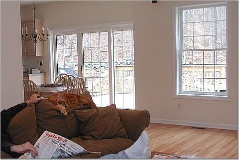Family room looking toward back yard