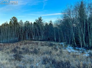 600 Aspen Way Dr, Florissant, CO 80816