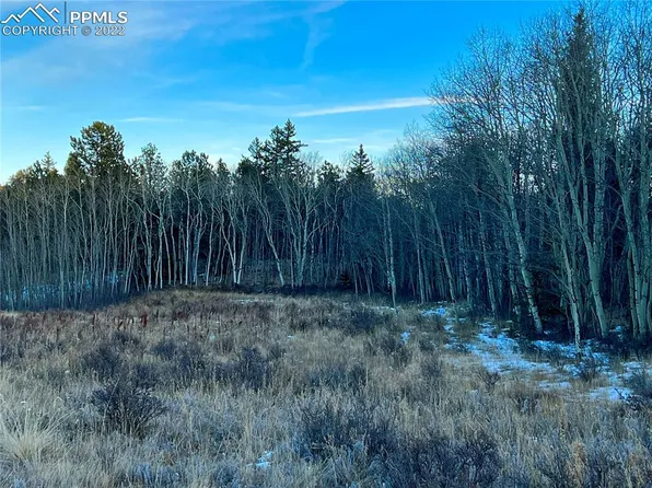 600 Aspen Way Dr, Florissant, CO 80816