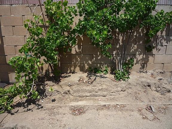 Grow your own grapes in this huge backyard