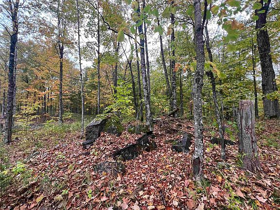 3rd image of Glenmeal Rd