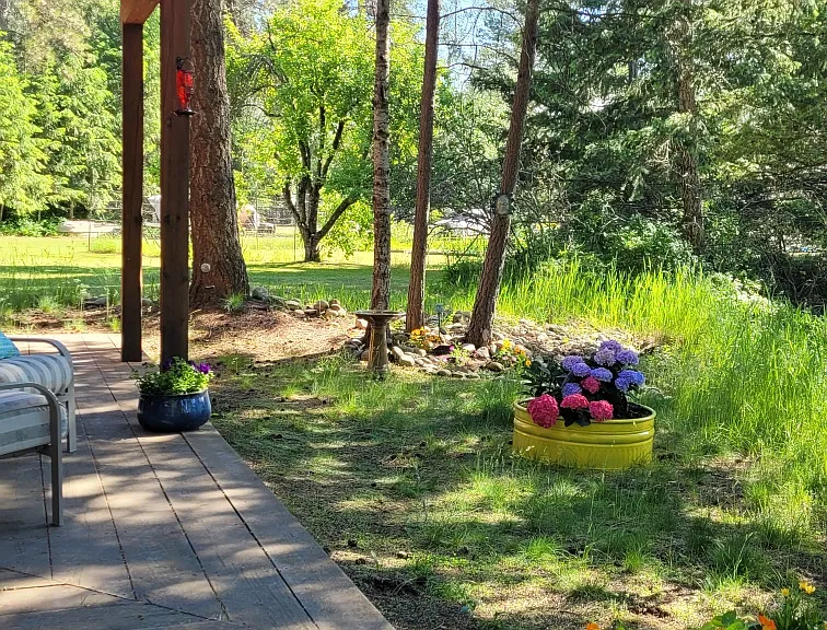 Branch Ln — Photo 12