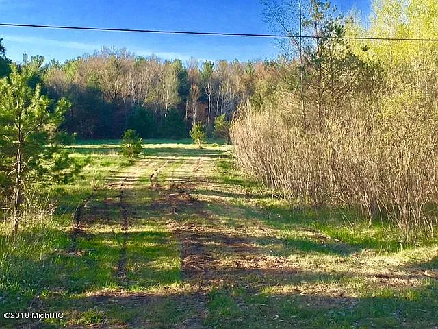 6586 Cline Rd photo 1