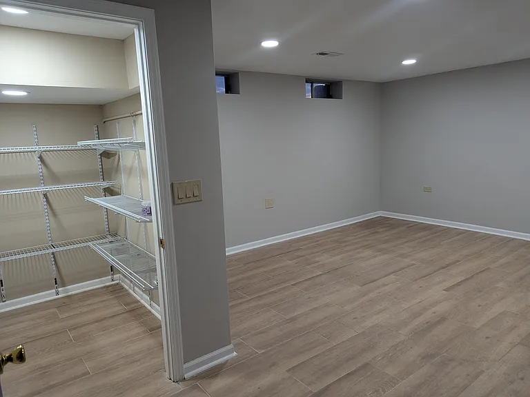 Basement family room with closet