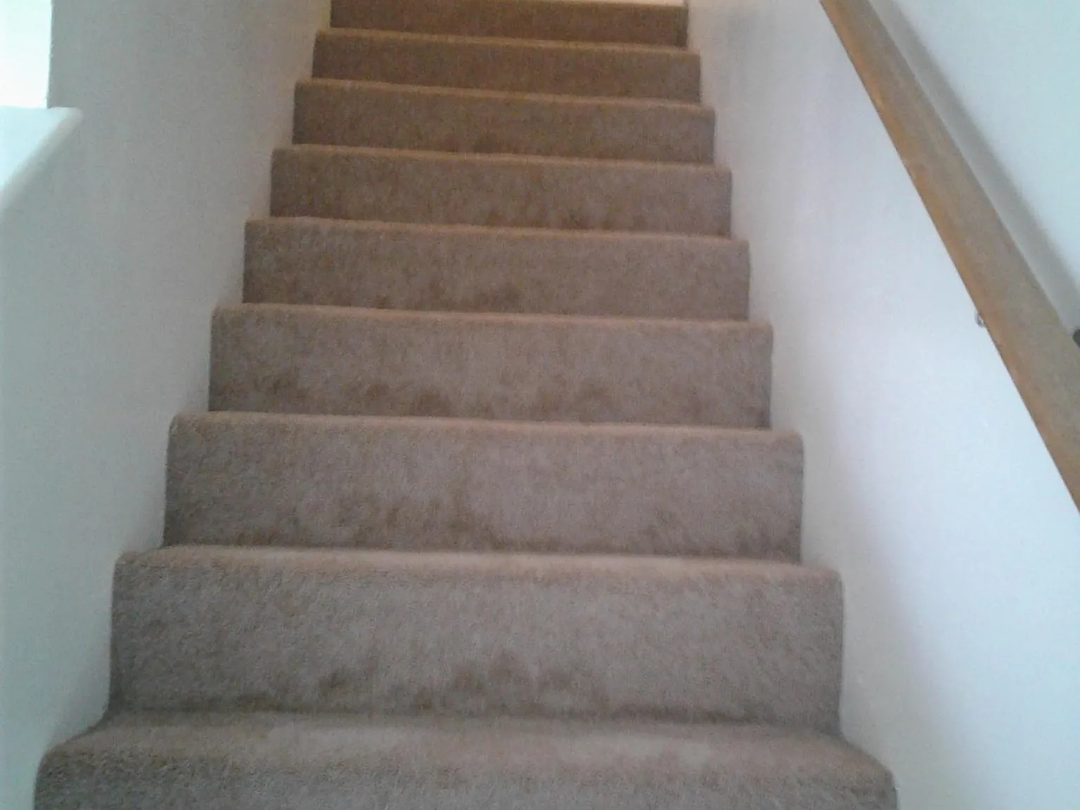 2 bed, 1.5 bath, 890 sqft, $1,290 — Photo 3