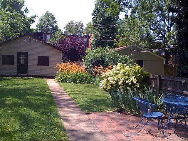 Back yard