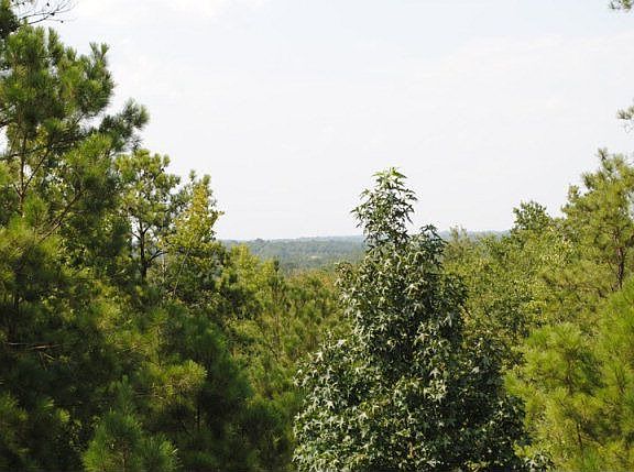 4th image of 108 W Coleman Dr