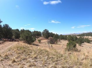 113 Apache Trl, Texas Creek, CO 81223