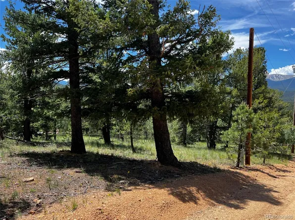 76 Baker Road, Bailey, CO 80421