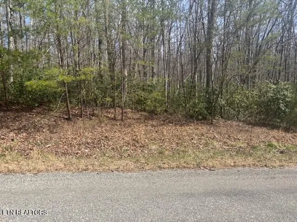 0 Cliff Park Rd Lot 17, Monterey, TN 38574