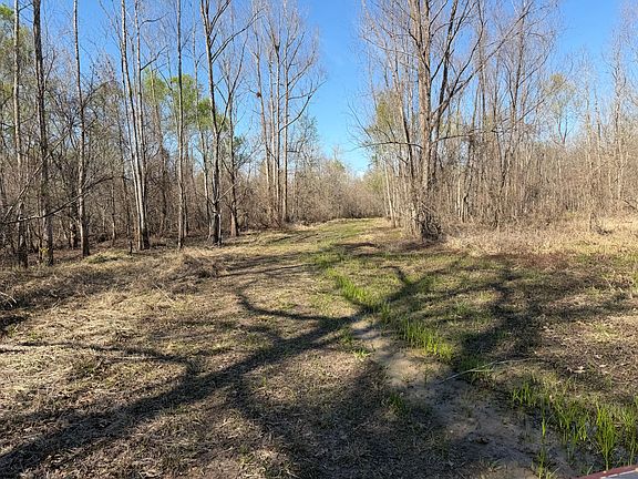 5th image of Misty Creek Rd