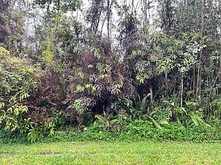 2nd image of Maui Rd Lot 499