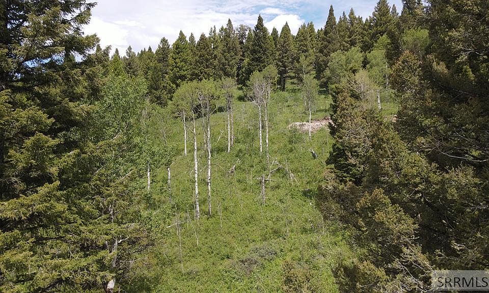 1st image of 4907 Shadow Wood Ln