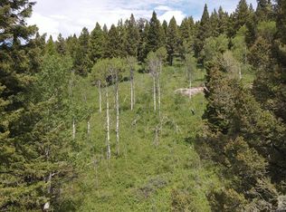 4907 Shadow Wood Ln, Island Park, ID 83429