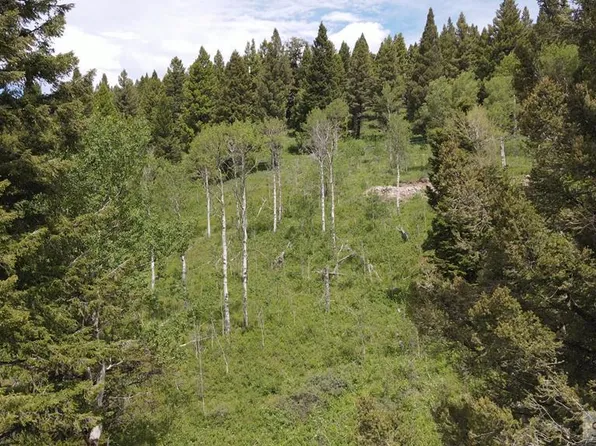 4907 Shadow Wood Ln, Island Park, ID 83429