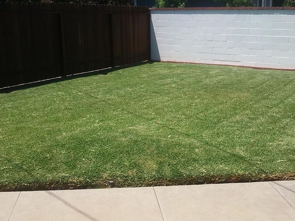 Large private yard in the front of the house