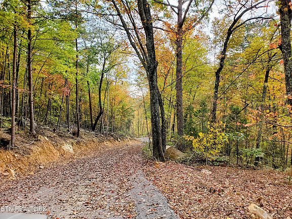 2nd image of 5960 Poor Valley Rd