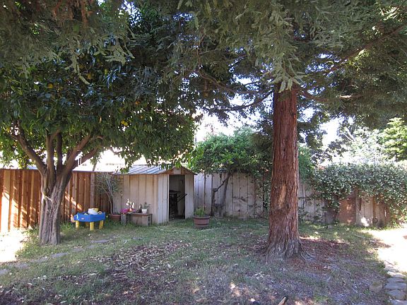 vackyard with a shed