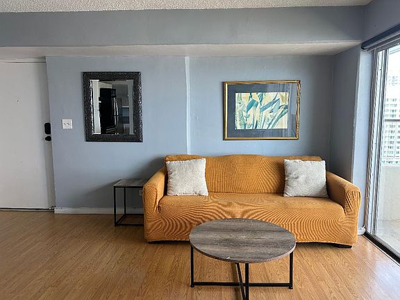 Living Room with Pull out Sofa Couch