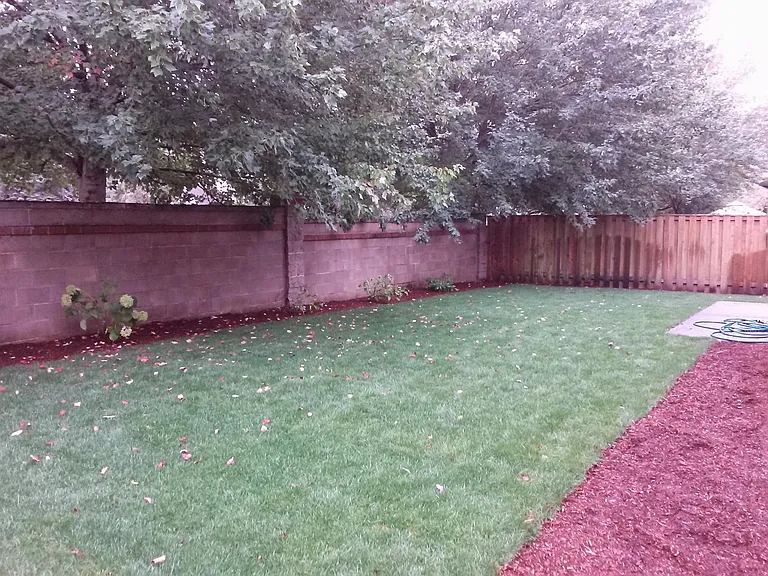 Big backyard
