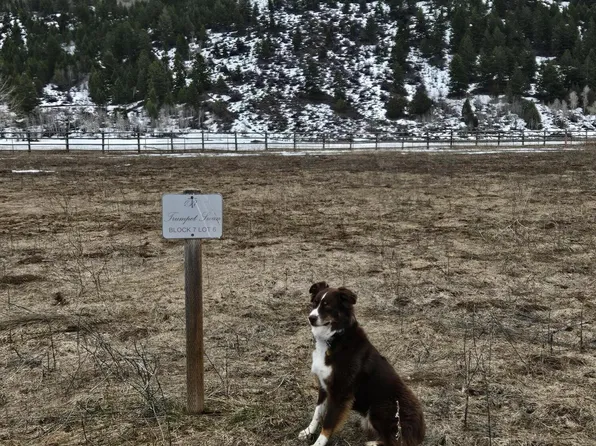 6403 Black Swan Cir, Victor, ID 83455