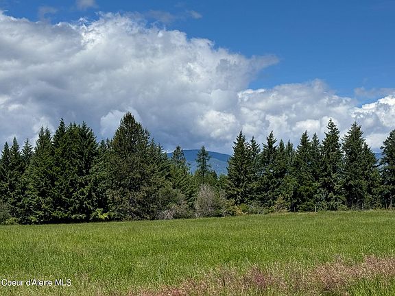 5th image of 485 Stellar Jay Rd