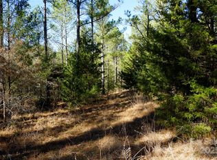 6/- Ac LOT 2, Chester, SC 29706