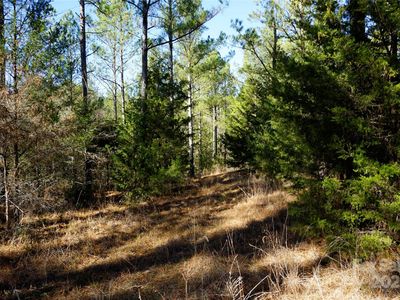 6/- Ac Lot 2, Chester, SC, 29706