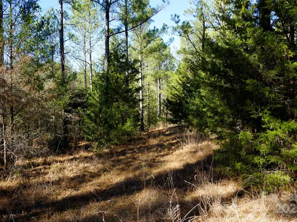 6/- Ac Lot 2, Chester, SC 29706