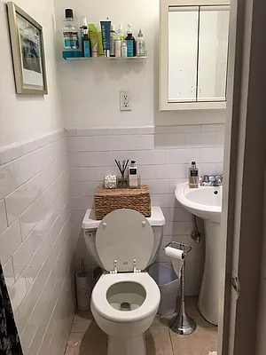 Rented by Real Broker NY LLC | media 15