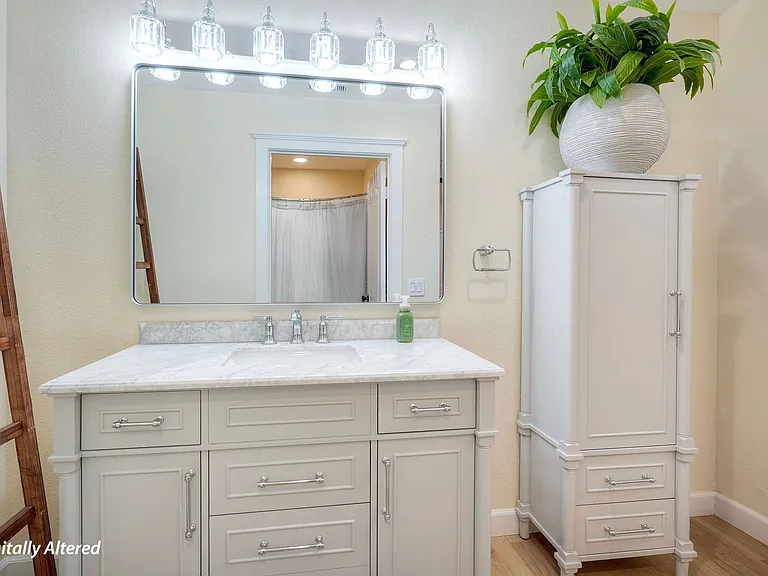 823 Kalpati Cir — Photo 22