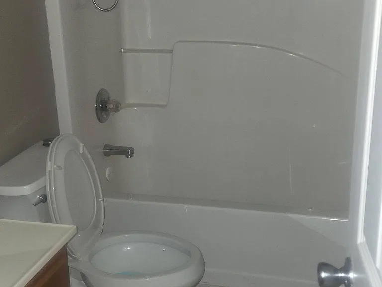 Hallway Bathroom