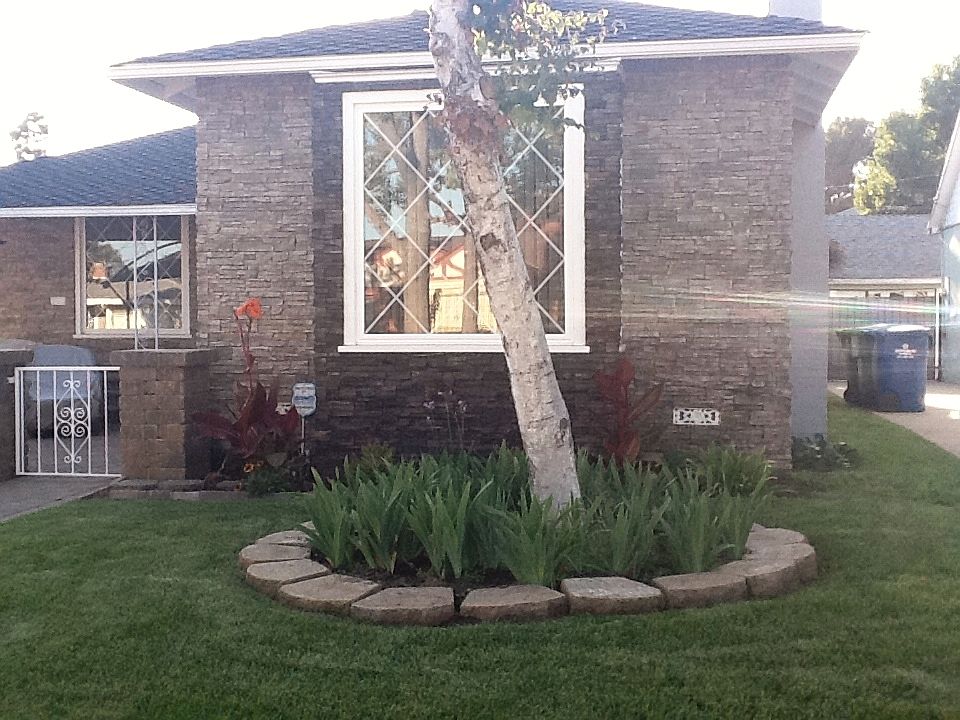 2nd image of 213 Regent Cir