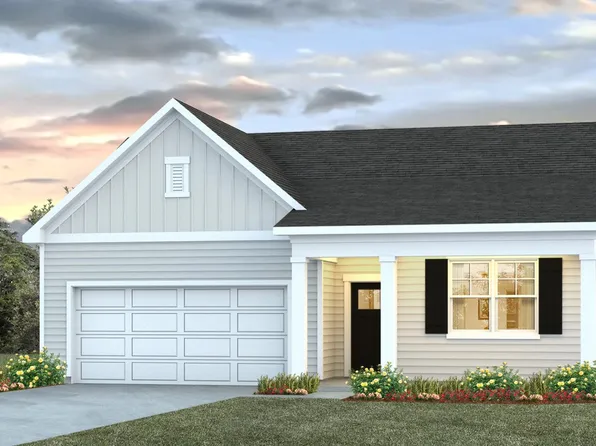 CALI Plan, Carolina Groves