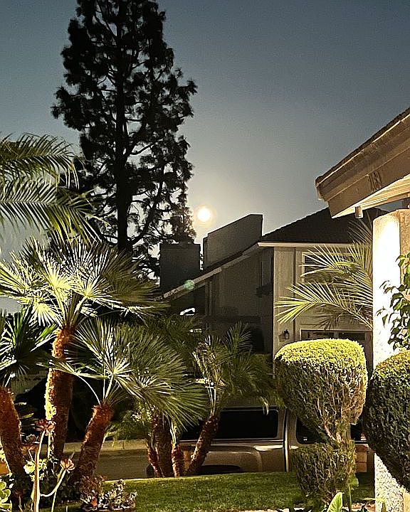 1st image of 2169 Olivine Dr