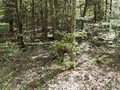 106 Highview Drive, Winsted, CT, 06098