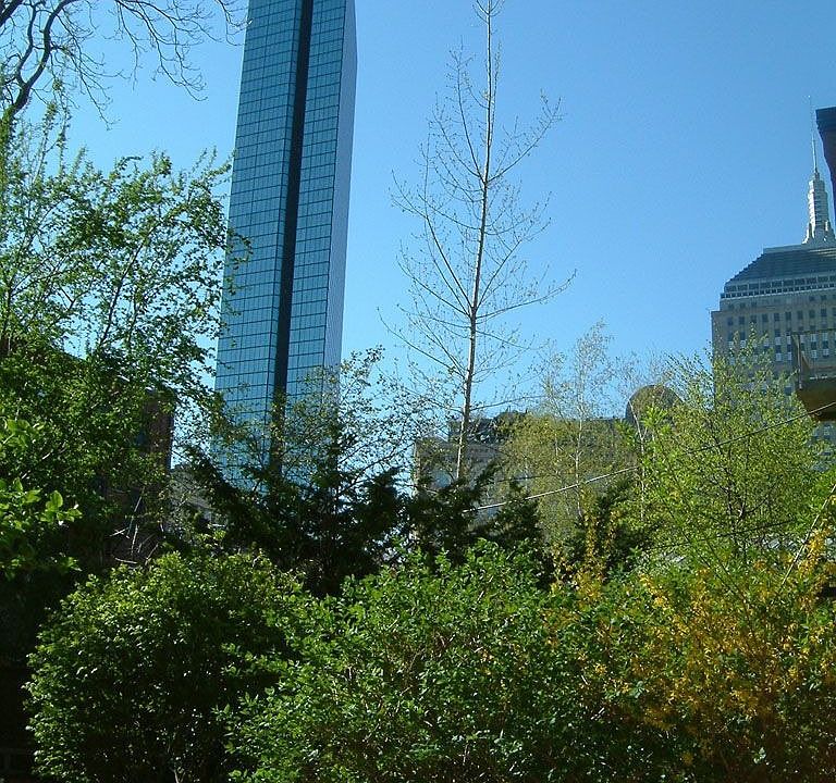 View from Garden
