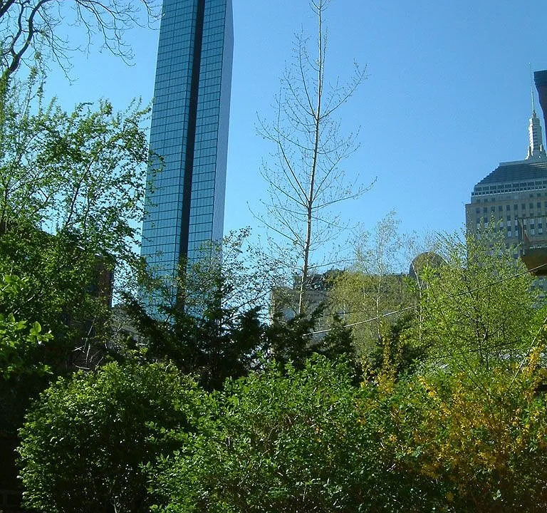 View from Garden