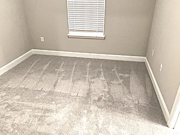 92 Cobalt Ln — Photo 14