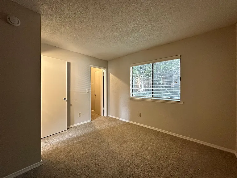 Olive Glen — Photo 11