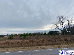 S Pamplico Hwy, Pamplico, SC 29583