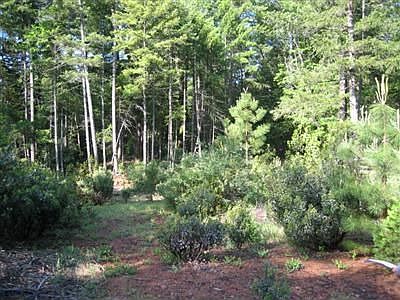Private level acreage with many trees ready for your dream home