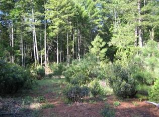 1261 Spring Tunnel Mine Rd, Georgetown, CA 95634