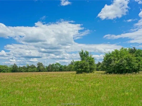 TRACT 4 County Road 117, Bedias, TX 77831